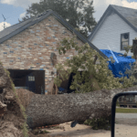 Emergency Tree Service & Storm Cleanup in Lafayette, LA