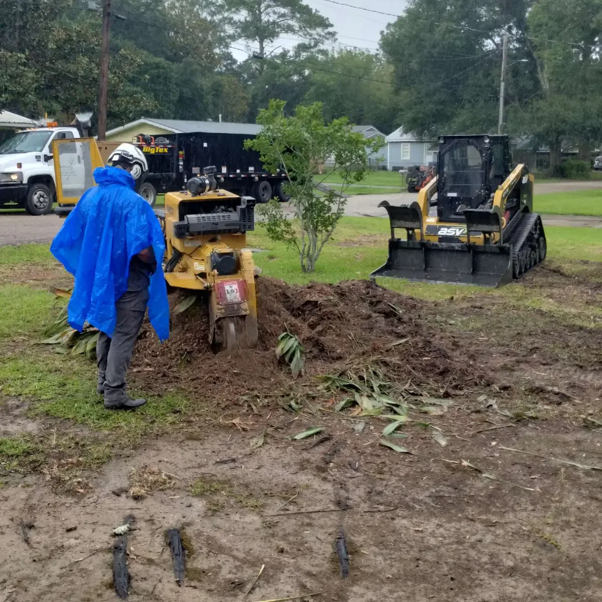 Hub City Tree & Preservation crew performing tree removal in Vermilion Parish, LA.
