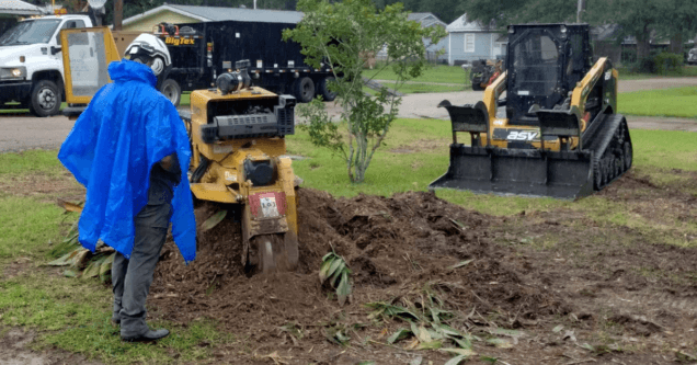 Stump Grinding and Stump Removal in Lafayette, LA