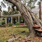 Large damaged tree in Lafayette Parish showing trunk cracks, fungal growth, and dangerous lean near a residential property