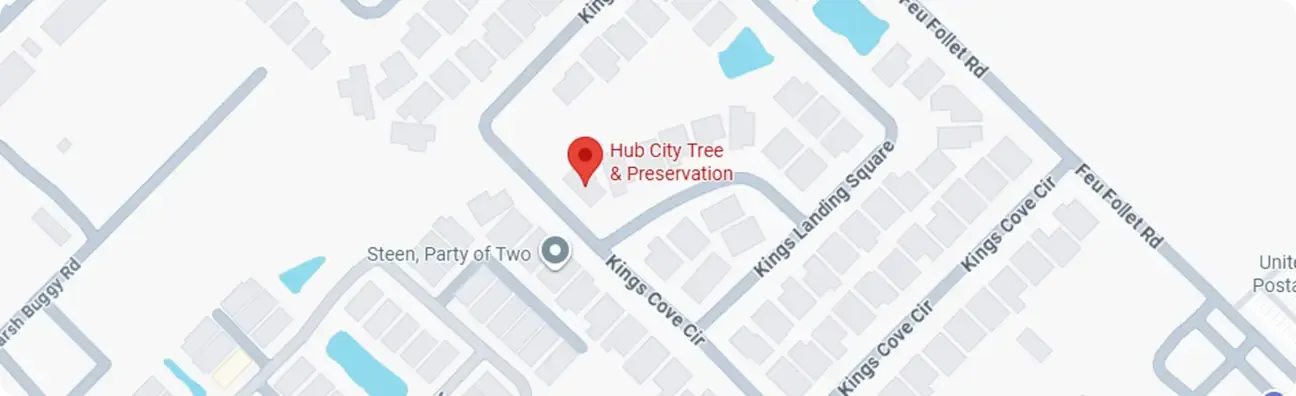Contact Hub City Tree & Preservation