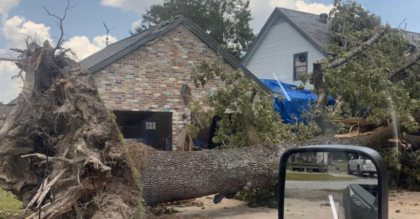 Emergency Tree Service & Storm Cleanup in Lafayette, LA