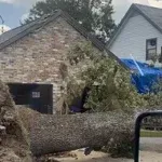 24/7 Emergency Tree Service