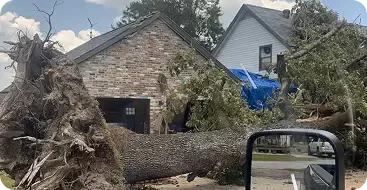 24/7 Emergency Tree Service