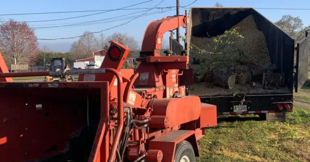 Land Clearing Service in Lafayette, LA