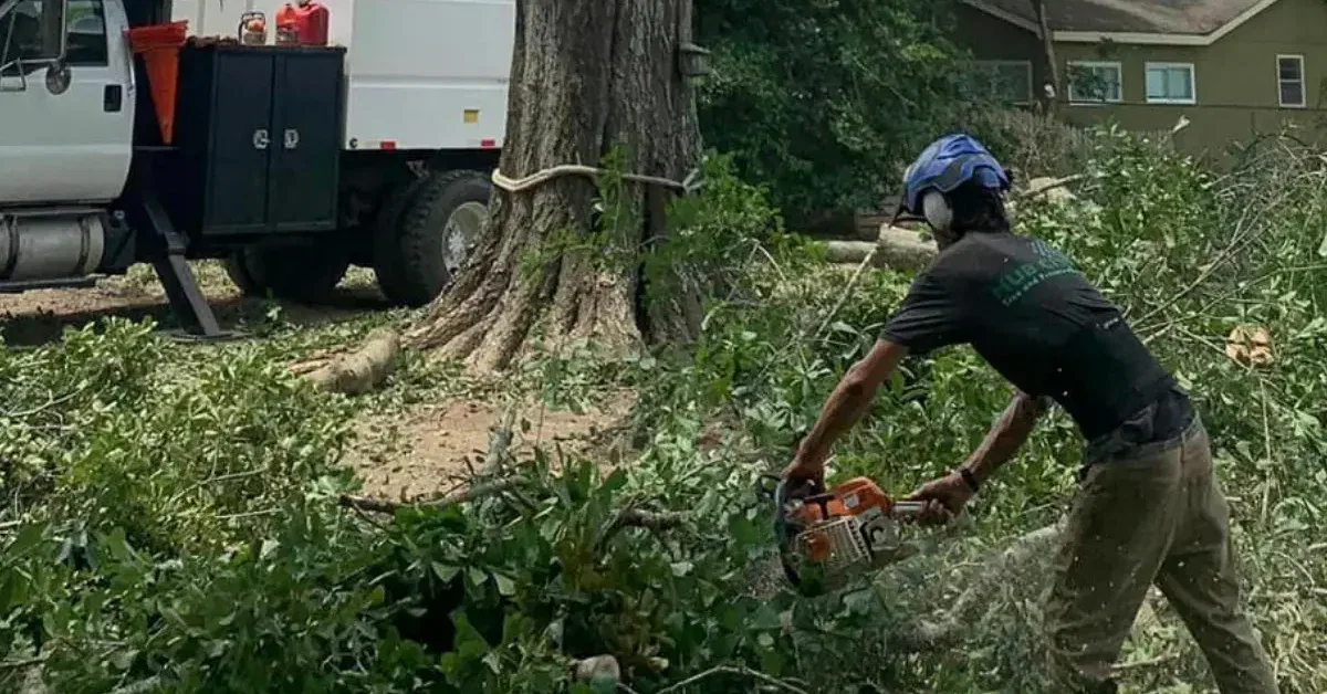 Arnaudville Tree Service