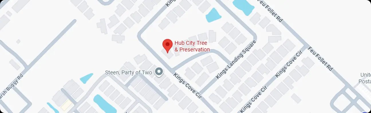Contact Hub City Tree & Preservation