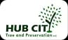 Hub City Logo