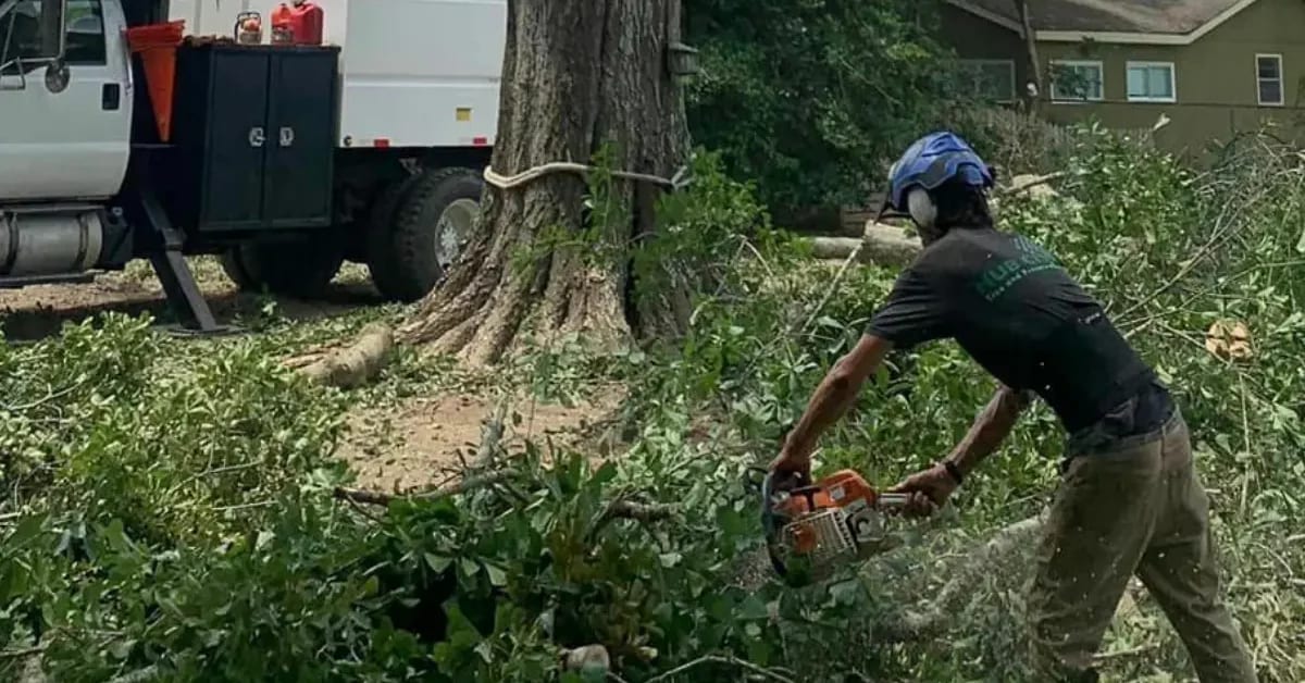 Arnaudville Tree Service